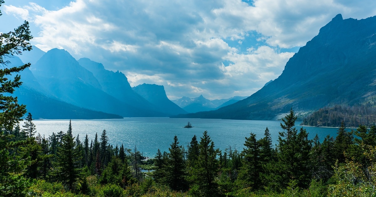 Montana mobile ID updates